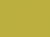 Nissan All Models Yellow Metallic 2005 E30