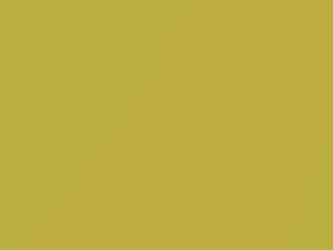 Nissan All Models Yellow Metallic 2005 E30 - Scratch Repair