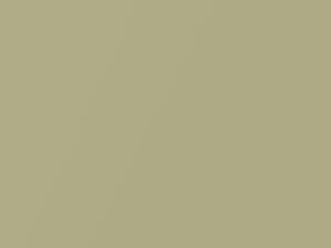 Hyundai Tucson Light Chardonnay Metallic 2006 JQ