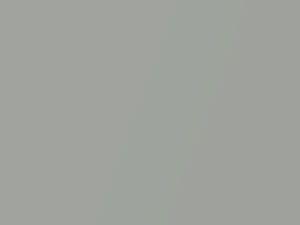 Nissan All Models Boreal Gray Metallic 2003 Z12
