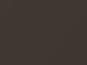 BMW X1 Sparkling Bronze Metallic 2011 B06