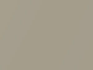 Dodge Ram Pickup Light Almond Pearl 2004 AY111ZKJ, AY96ZKJ, PKJ, ZKJ - Scratch Repair