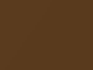 Kia Sportage Burnished Copper 2021 BY2