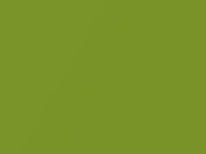 Chevrolet All Models Fresh Green Lime Metallic 2017 340X, G6F, WA340X