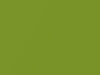 Chevrolet All Models Fresh Green Lime Metallic 2017 340X, G6F, WA340X