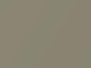 Honda Civic Hybrid Borrego Beige Metallic 2007 YR566M