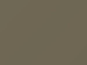 Nissan Maxima Beige Metallic 1999 EV0 - Scratch Repair