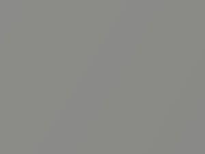 Honda Passport Buran Silver Metallic 2020 NH743M - Scratch Repair