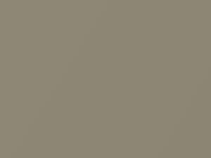 Dodge Ram Austin Tan Pearl 2011 FKL, PKL - Scratch Repair