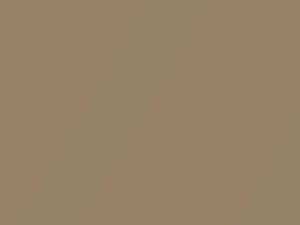 Oldsmobile All Models Gold Metallic 1998 398E, WA398E - Scratch Repair