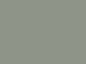 Toyota All Models Pistachio Metallic/Silver Pine Mica 2006 6U0