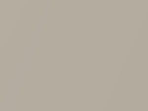 Hyundai All Models Camel Beige Pearl 2008 SV - Scratch Repair