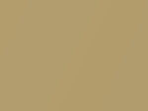 Ford All Models Karat Gold Metallic 2015 BR, M7304A
