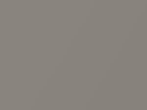 Fiat All Models Grigio Prezioso Metallic 2011 174B