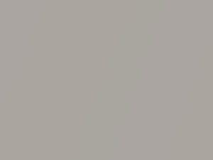Toyota 4RUNNER Desert Dune Metallic 1999 1A5