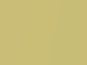 Toyota All Models Yellow Metallic 2012 Y08