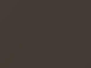 Chevrolet All Models Dark Beige Metallic 1999 50U, 674F, WA674F - Scratch Repair