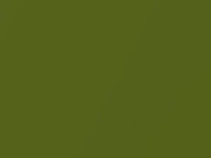 Chevrolet Caprice Jungle Fever Metallic 2016 423Y, G6P, WA423Y - Scratch Repair