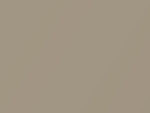 Chevrolet All Models Cashmere Metallic 2008 19B, 32B, WA32B - Scratch Repair