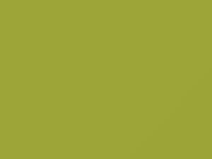 Mitsubishi All Models Light Yellow 2008 CMY10011, Y11 - Scratch Repair