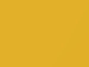 Ford All Models Goldenrod Yellow 1959 M30J358, X
