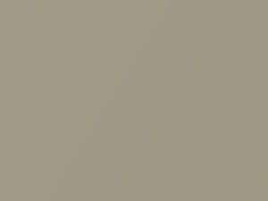 Dodge All Models Champagne Pearl 1999 AY111VTE, PTE, VTE - Scratch Repair