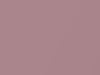 Nissan All Models Pink Metallic 2020 NAR