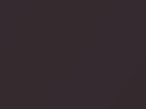 Mercedes-Benz S Class Blackberry Metallic 1995 481, 8481