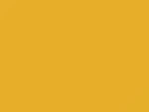 Rolls Royce All Models Semaphore Yellow 2016 R38