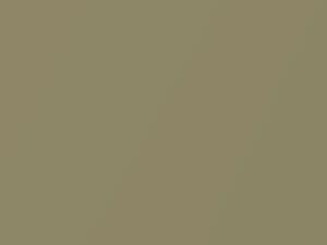 Hyundai All Models Bambi Beige Metallic 2002 LI