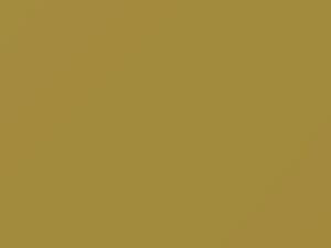 Chevrolet Colorado Yellow 2019 7952, WA7952 - Scratch Repair