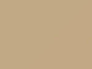 Chevrolet All Models Adobe Beige 1957 700, 806