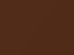 Nissan Rogue Orange Metallic 2019 EAR - Scratch Repair