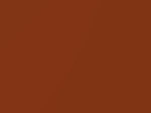 Chevrolet Corvette Russet Metallic 1986 WA8754 - Scratch Repair