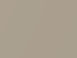 Ford Festiva Beige Metallic 1997 A3, WG - Scratch Repair