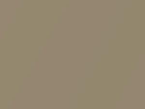 Mercedes-Benz S Class Kalahari Gold Beige Metallic 2020 1802, 802