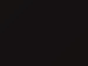 BMW M8 Almandine Brown Metallic 2019 C46, X14