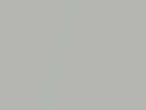 Toyota Camry Ceramic Gray Metallic 2021 1K6