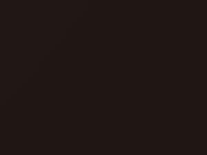 Nissan All Models Dark Brown Metallic 2017 CAS - Scratch Repair