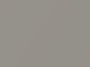 Toyota All Models Silver Graphite Metallic 2001 1D9