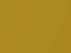 Suzuki All Models Rush Yellow Metallic 2020 ZYK