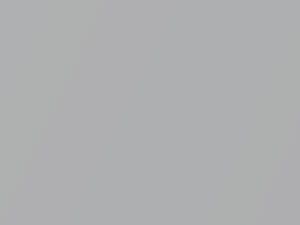 Toyota All Models Silver Metallic 2019 1H6