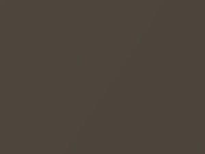 Toyota All Models Quartz Brown Metallic 2013 4W0