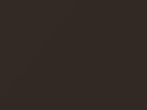 Nissan All Models Bronze Ultimate Pearl 2020 CAP
