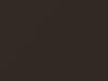 Nissan NV200 Bronze Ultimate Pearl 2015 CAP