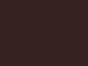 Nissan All Models Brown Metallic 2006 C15