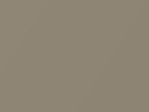 Ford All Models New Sahara Gold Metallic 1998 11F, BE