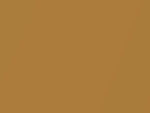 Ford All Models Bright Gold Metallic 1970 K, M3340A