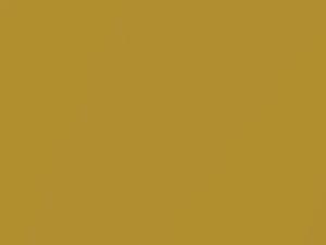 Acura All Models Corona Gold Pearl 1995 Y62P