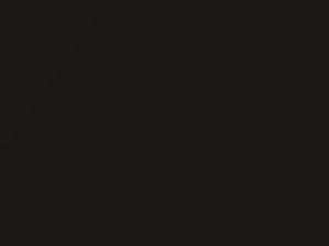 Volkswagen All Models Tarantella Pearl/Tarantellaschwarz Pearl 2005 B2, LR9V, R9V - Scratch Repair